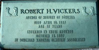 Vickers plaque